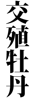 交殖牡丹